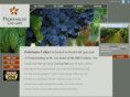 pedernaleswine.com