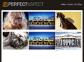 perfectaspect.com