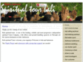 spiritualtourbali.net