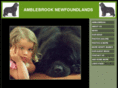 amblebrook.com