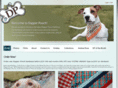 dapperpooch.com