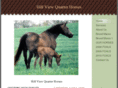 hillviewquarterhorses.com