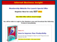 internetbusinessinsight.com