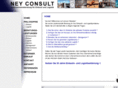 neyconsult.info
