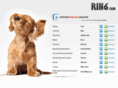 rin6.com