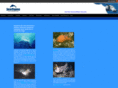 seaclypse.com