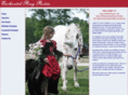 enchantedponyparties.com