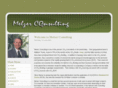 melzerconsulting.com