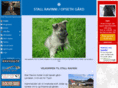stallravinni.com