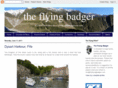 theflyingbadger.com