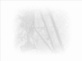 dfeclan.net