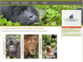 gorilla-trekking-tours.com