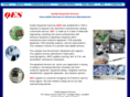 qesinternational.com