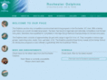 rochesterdolphins.org