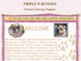 someprettyspecialbullies.com