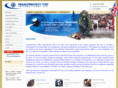 t2pinternational.co.uk
