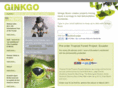 gingkomusic.org