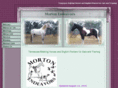 mortonendeavors.com