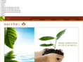 northex-env.com
