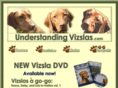 vizslafun.com