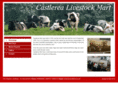 castlerealivestockmart.com