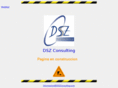 dszconsulting.com