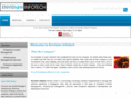 envision-infotech.com