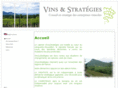 vins-strategies.com