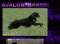 avalonborzoi.com