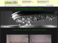 countertopregrout.com