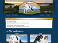 fanicoholstein.com