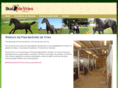 paardenhotel.com