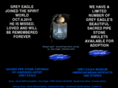 gemfoundation.com