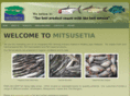 mitsusetia.com