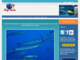 reef-world.org