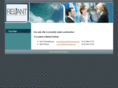 reliantsolutionsgroup.com