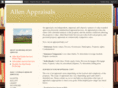 allenappraisers.com