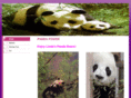 linsue.com