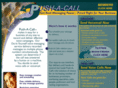 pushacall.com