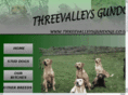 threevalleysgundogs.com
