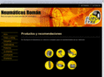 neumaticosterrassa.com