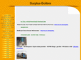 request-surplus.com