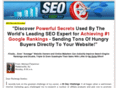 seotheeasyway.com