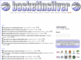 basketinsilver.com