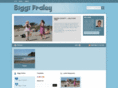 biggifraley.com