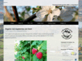 champlainorchards.com