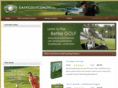 easygolfcoach.com