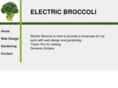 electricbroccoli.com