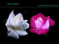 especially-madeforyou.com