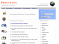 princetoninternational.com